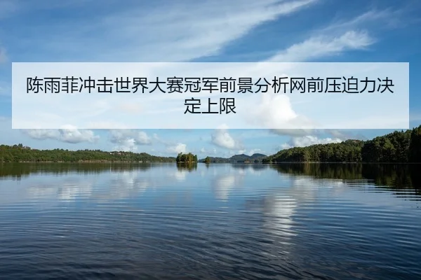 陈雨菲冲击世界大赛冠军前景分析网前压迫力决定上限