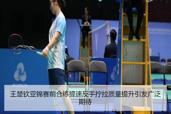王楚钦亚锦赛前合练提速反手拧拉质量提升引发广泛期待